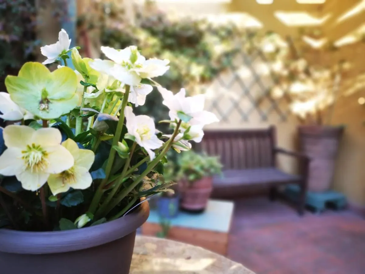 casapatrizia art b&b SantʼArcangelo di Romagna Italia